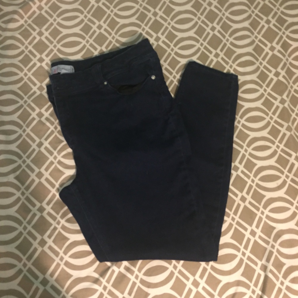 Wet Seal Plus Dark Wash Skinny Jeans